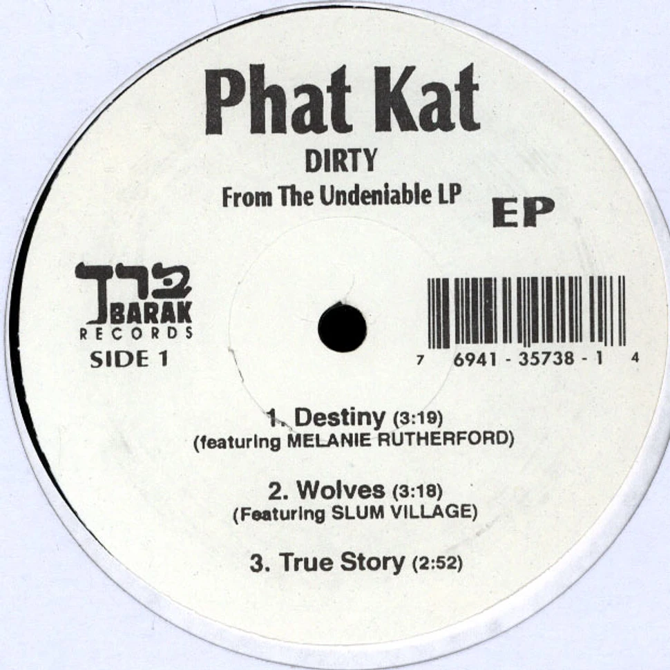 Phat Kat - The Undeniable EP