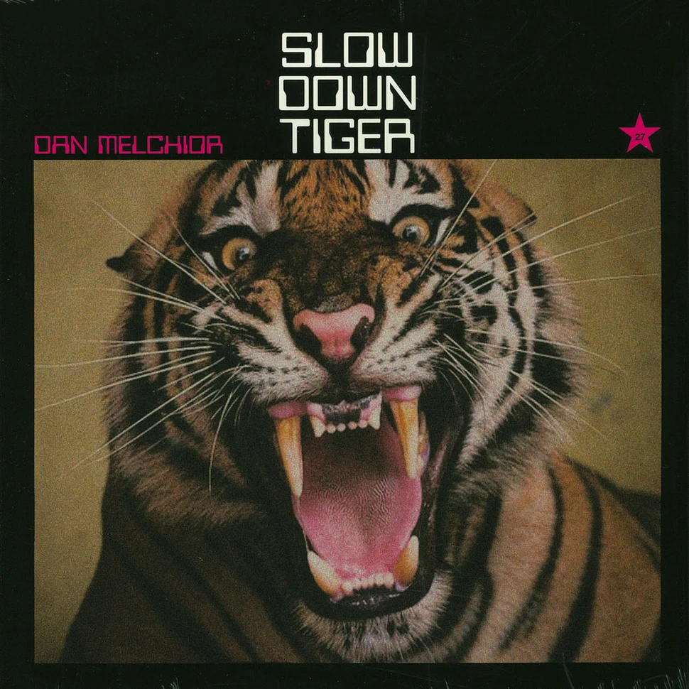 Dan Melchior - Slow Down Tiger