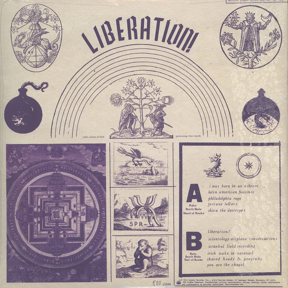Peter Matthew Bauer - Liberation