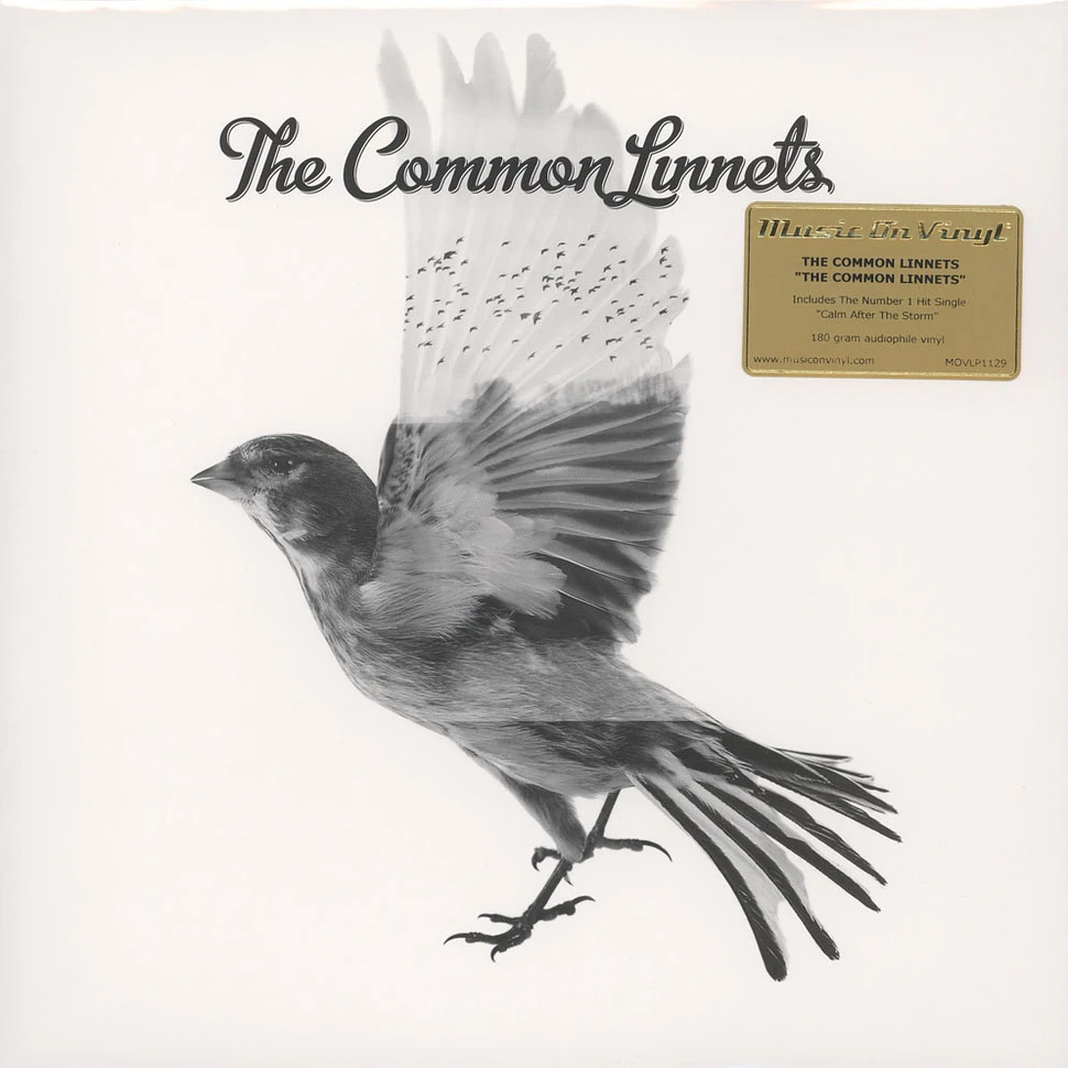 Common Linnets - Common Linnets