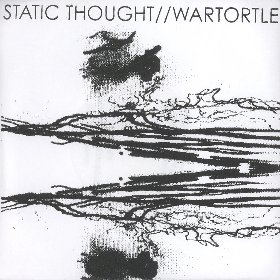 Static Thought / Wartortle - Shadows