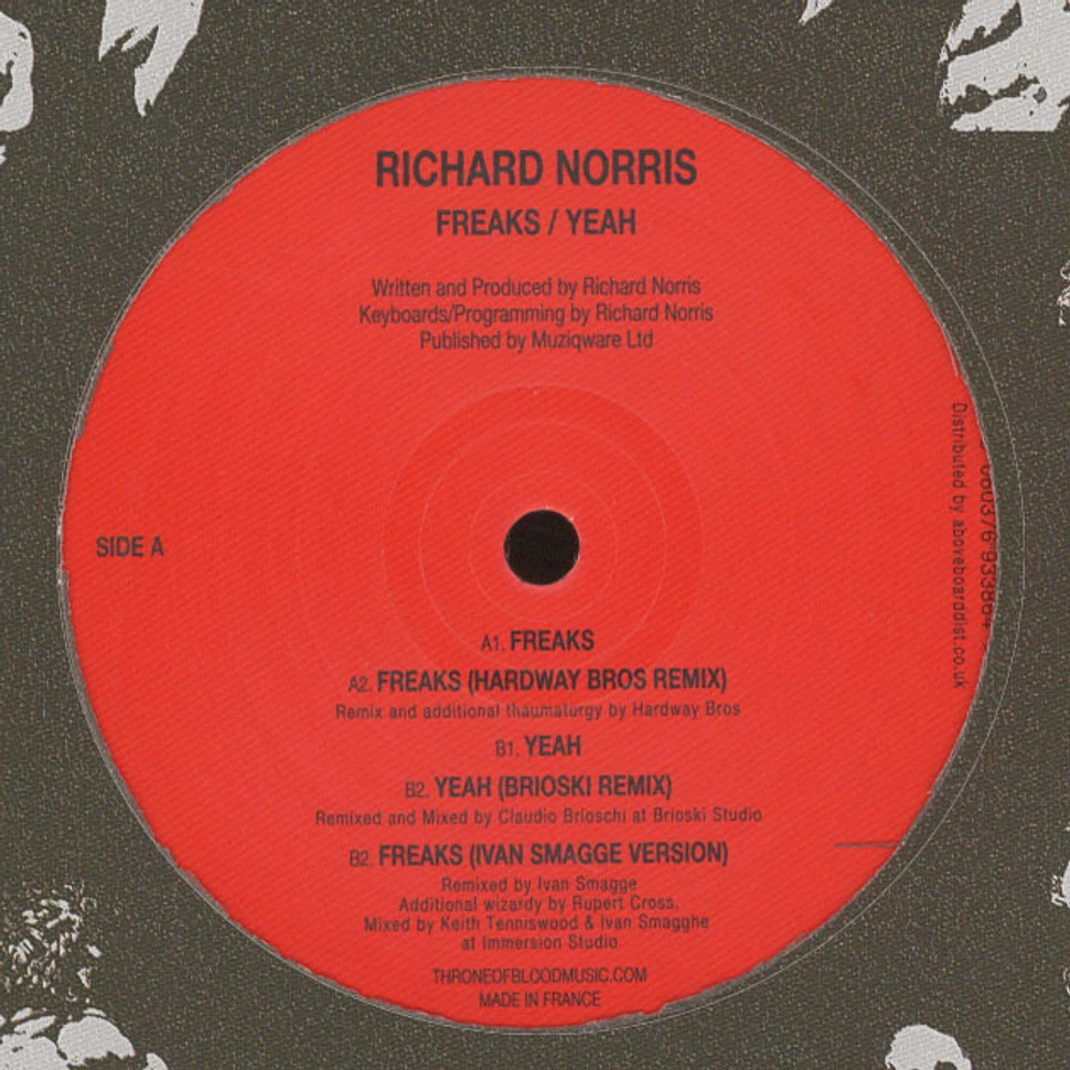 Richard Norris - Freaks