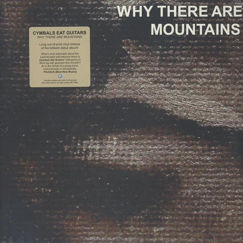 Cymbals Eat Guitars - Why There Are Mountains
