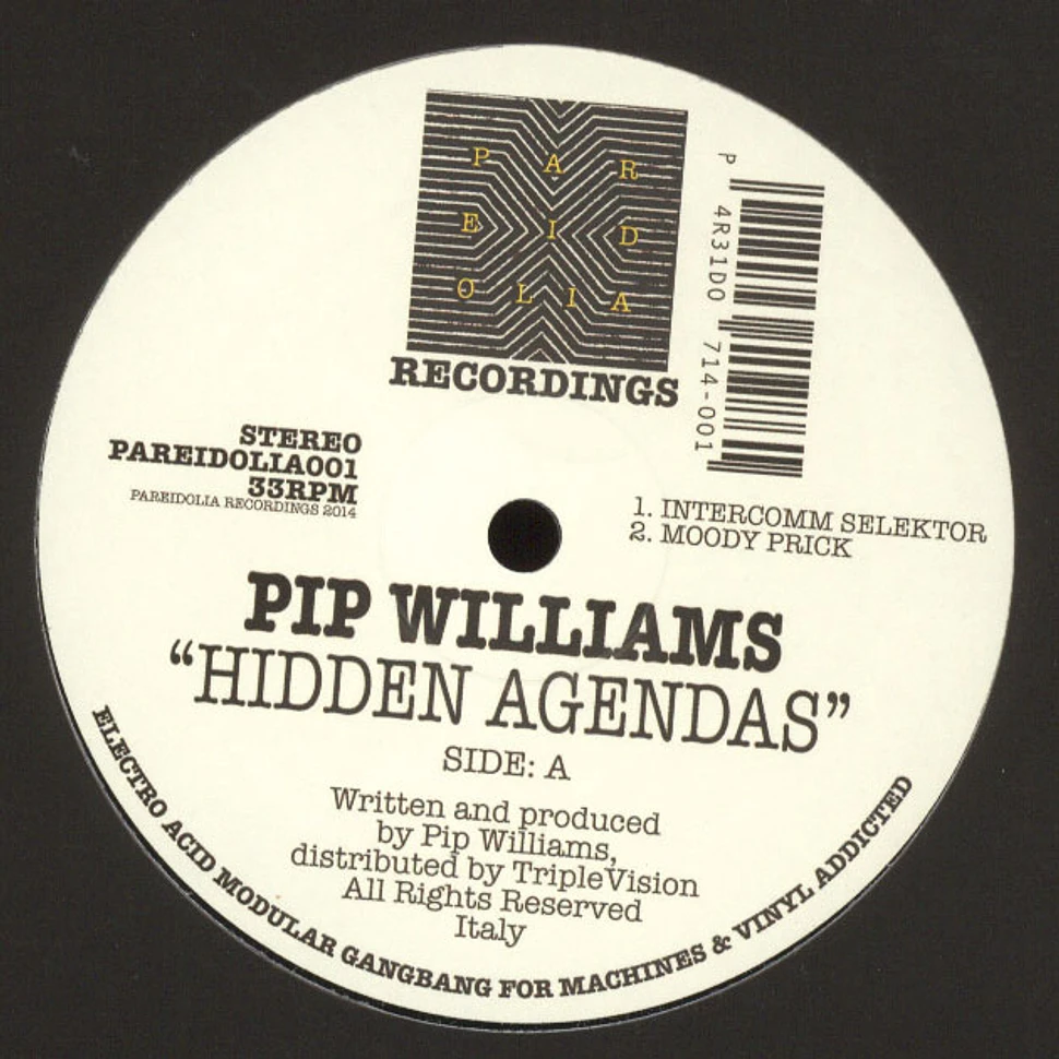 Pip Williams - Hidden Agendas EP