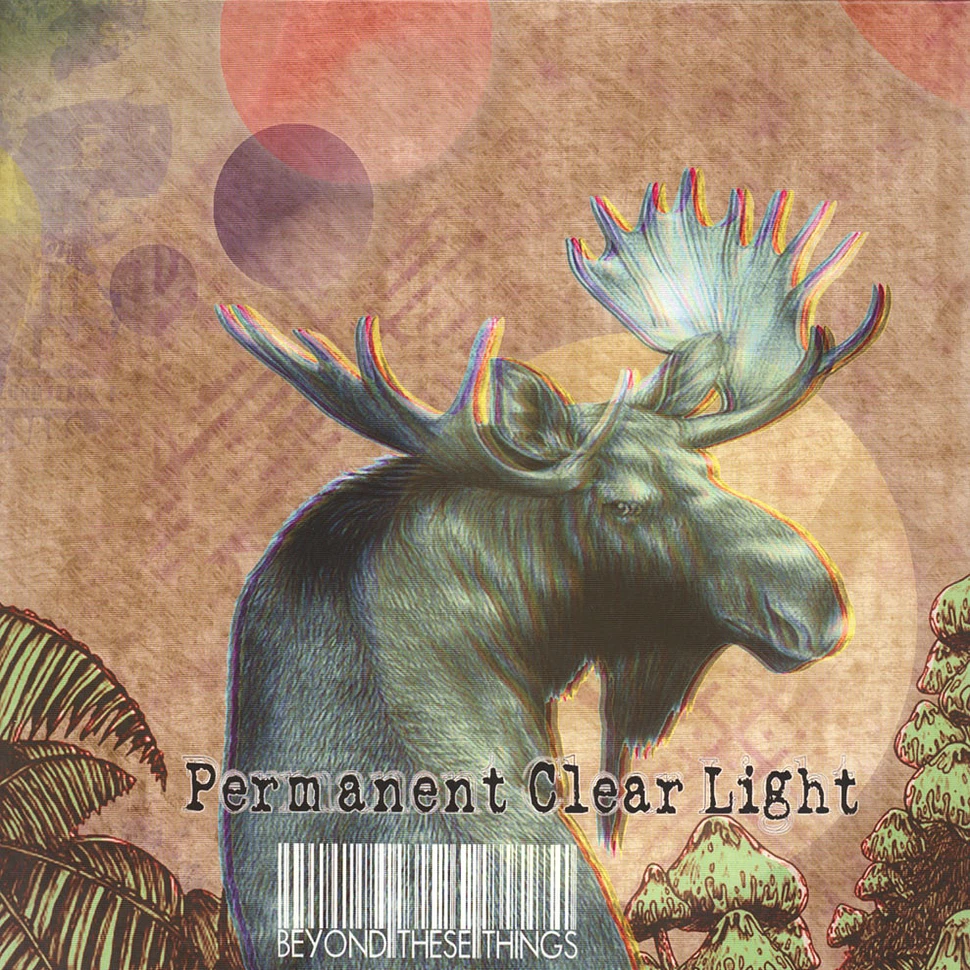 Permanent Clear Light - Beyond These Things