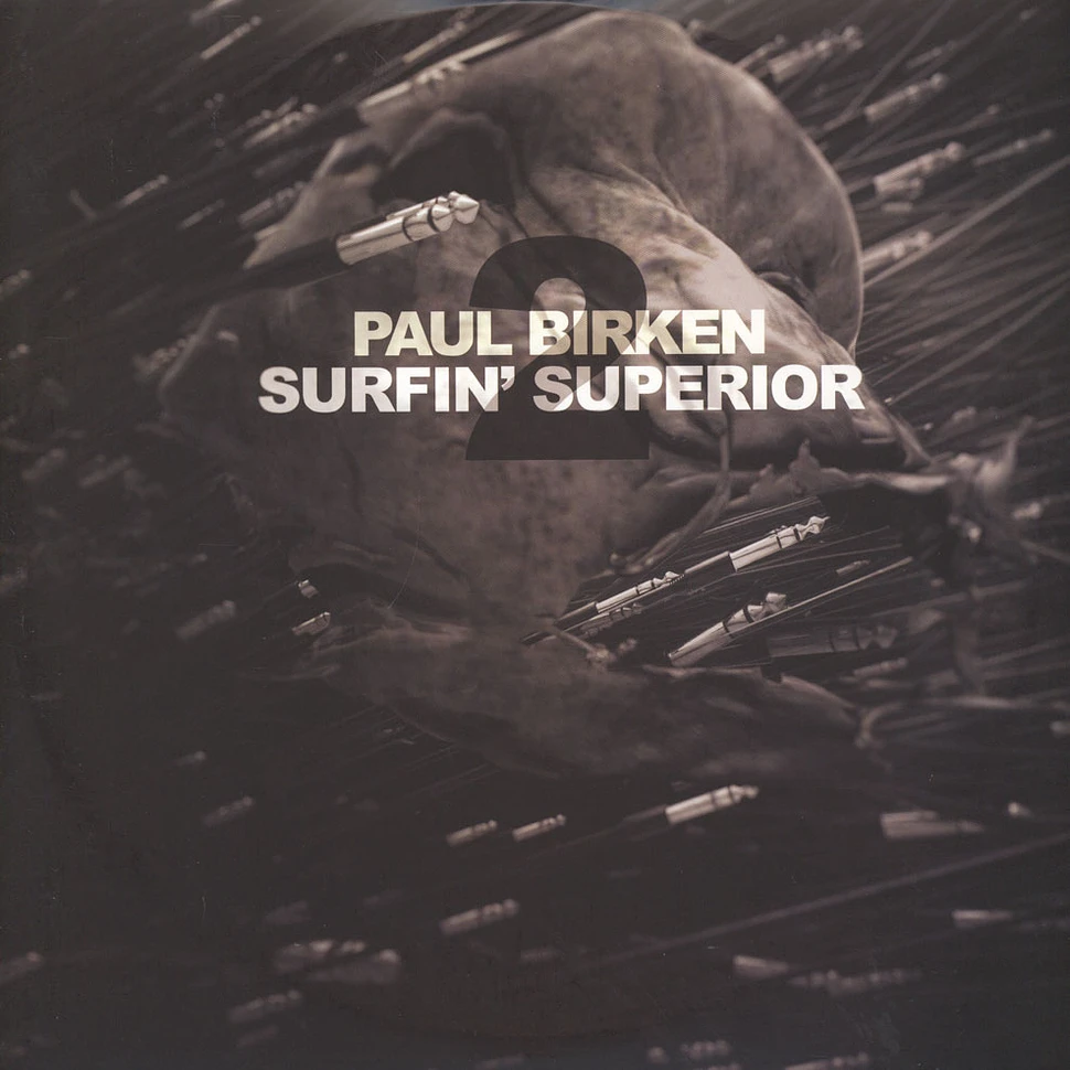 Paul Birken - Surfin Superior 2