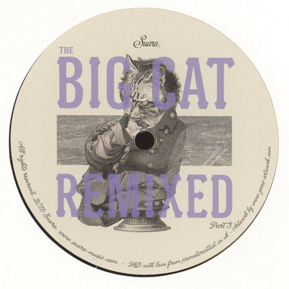 Coyu - The Big Cat Remixed Part 3