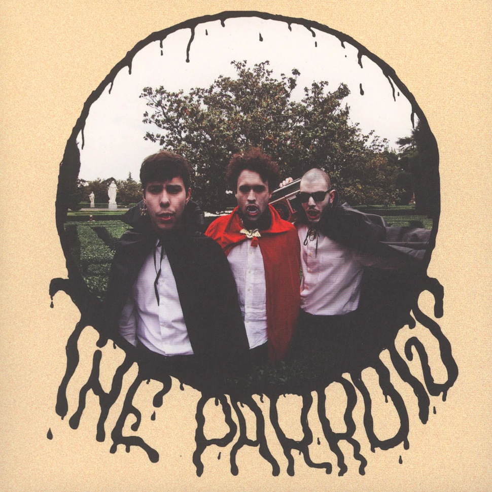 The Parrots - Loving You Is Hard