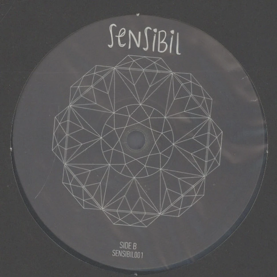 V.A. - SENSIBIL001