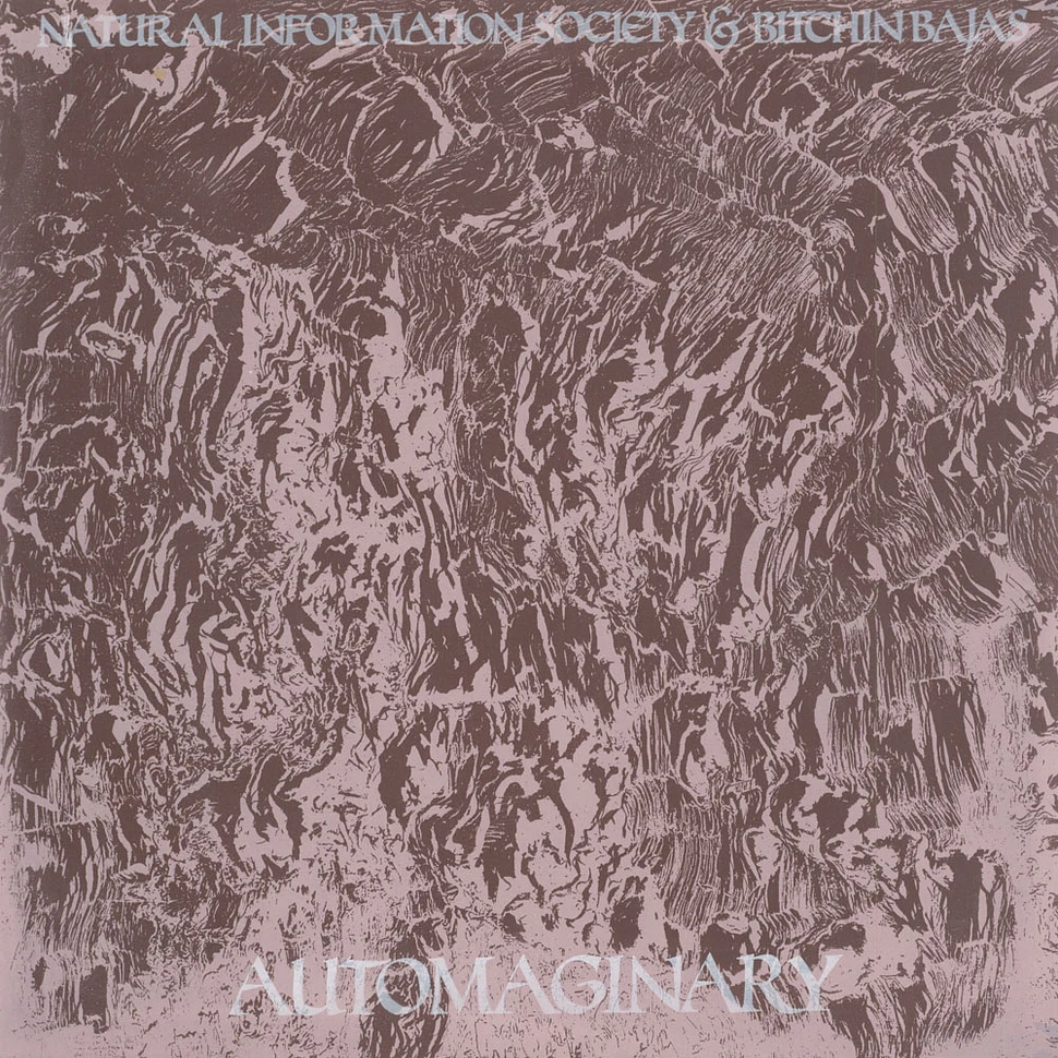 Joshua Abrams Natural Information Society & Bitchin Bajas - Automaginary