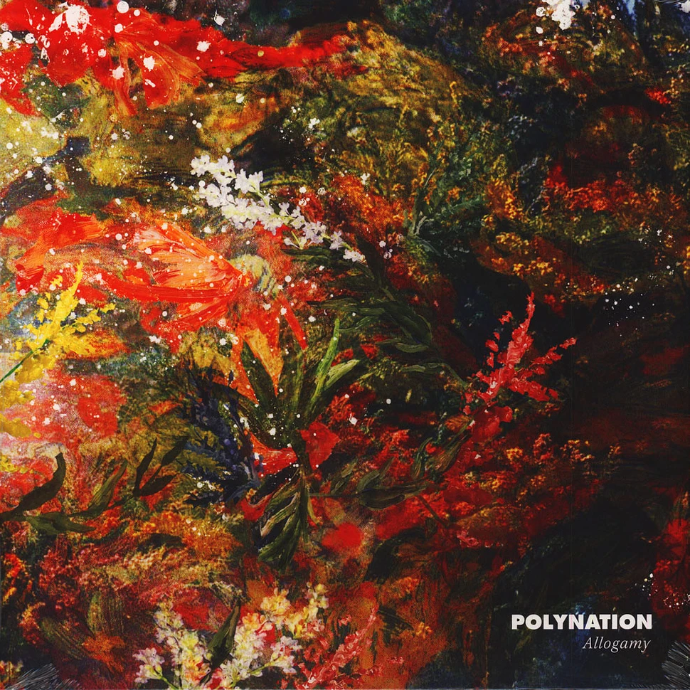 Polynation - Allogamy