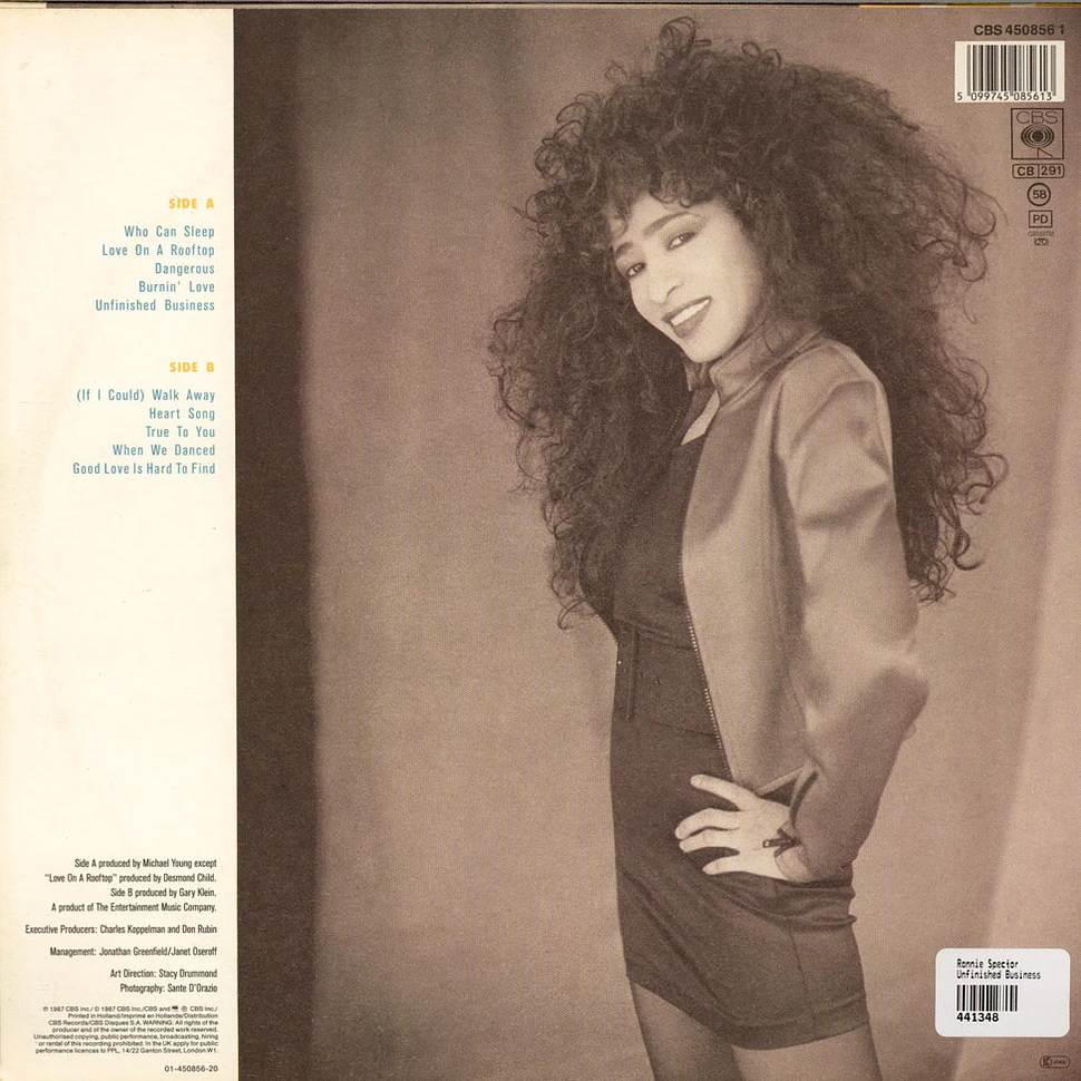 Ronnie Spector - Unfinished Business