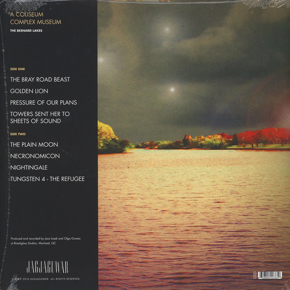The Besnard Lakes - A Coliseum Complex Musuem Black Vinyl Edition