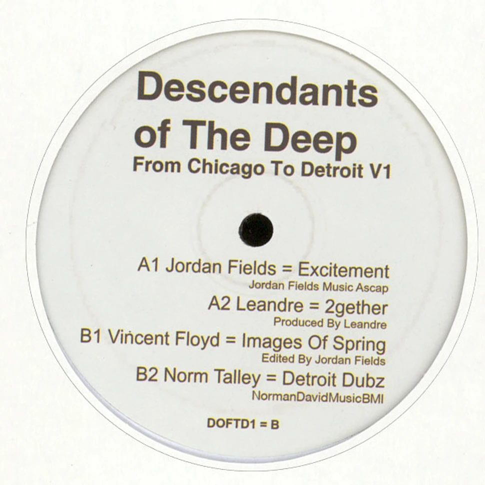 V.A. - From Chicago To Detroit Volume 1