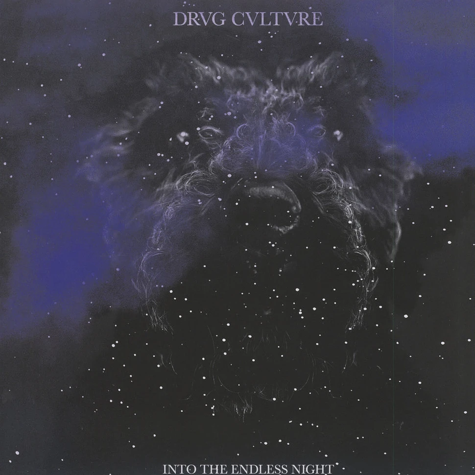 Drvg Cvltvre - Into The Endless Night
