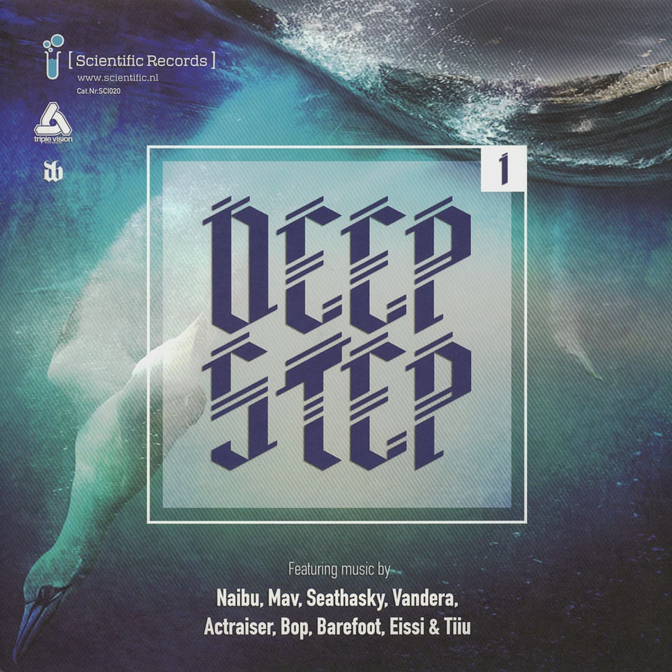 V.A. - Deepstep .01 LP