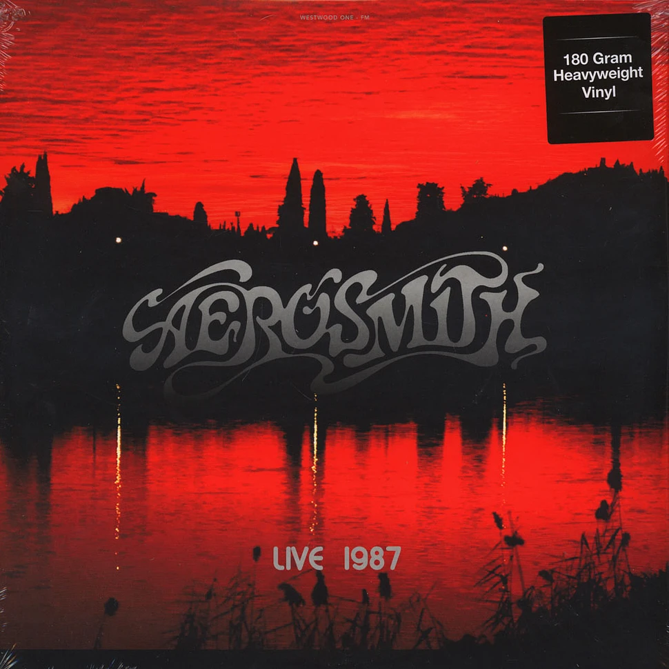 Aerosmith - Live At The Civic Centre, Hampton, VA - November 16, 1987 180g Vinyl Edition