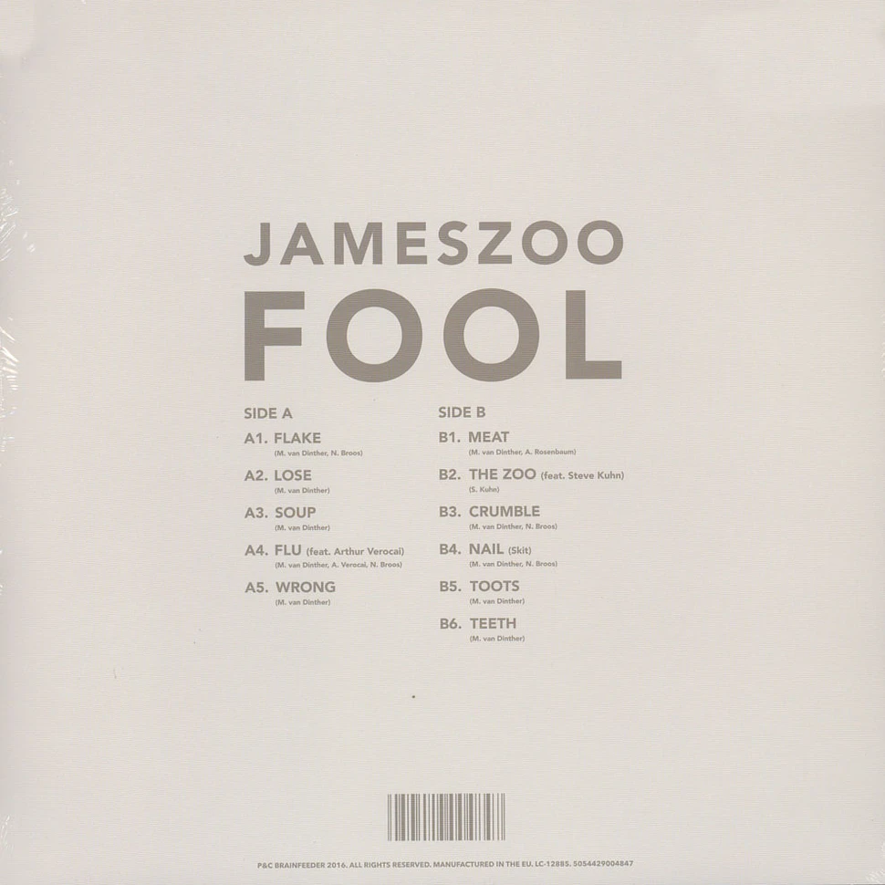 Jameszoo - Fool