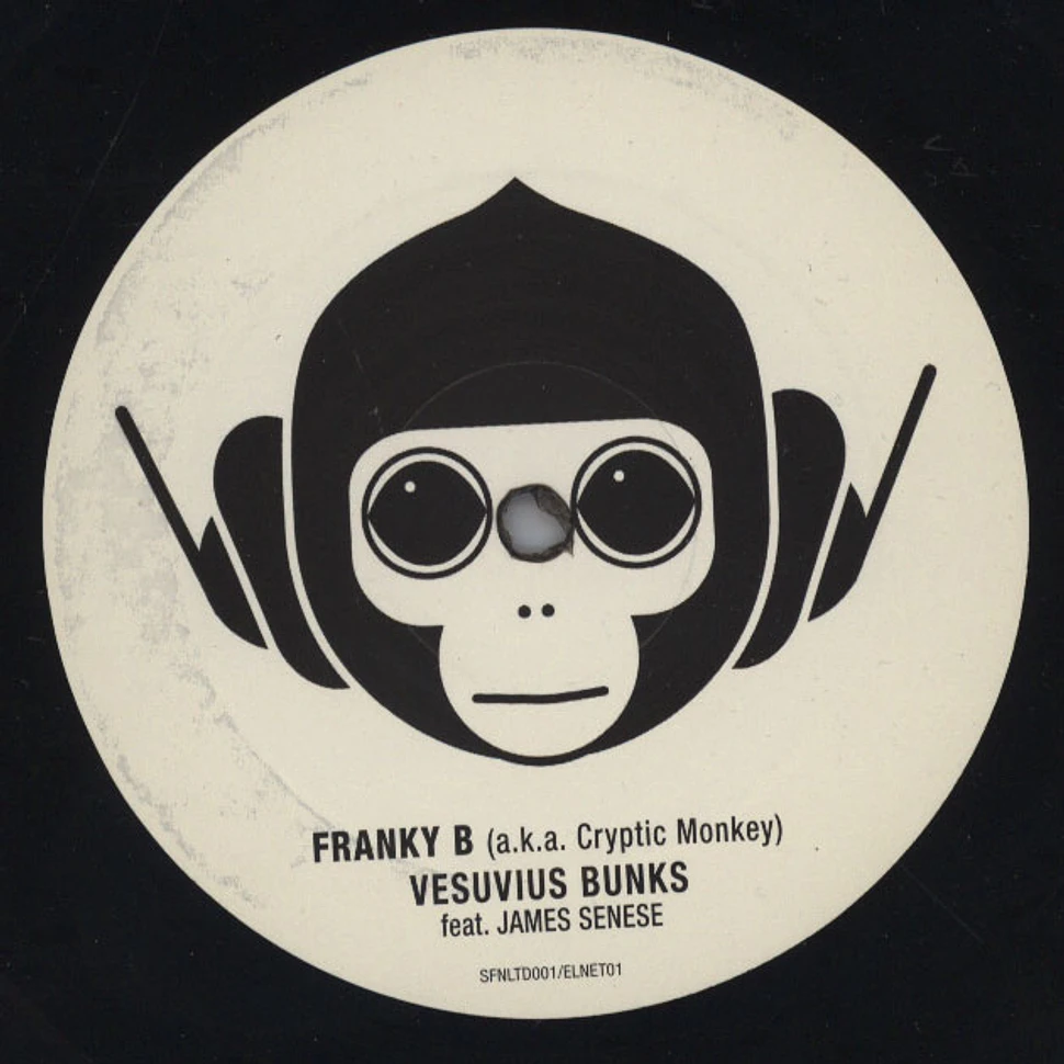 Franky B (Cryptic Monkey) - Vesuvius Bunks