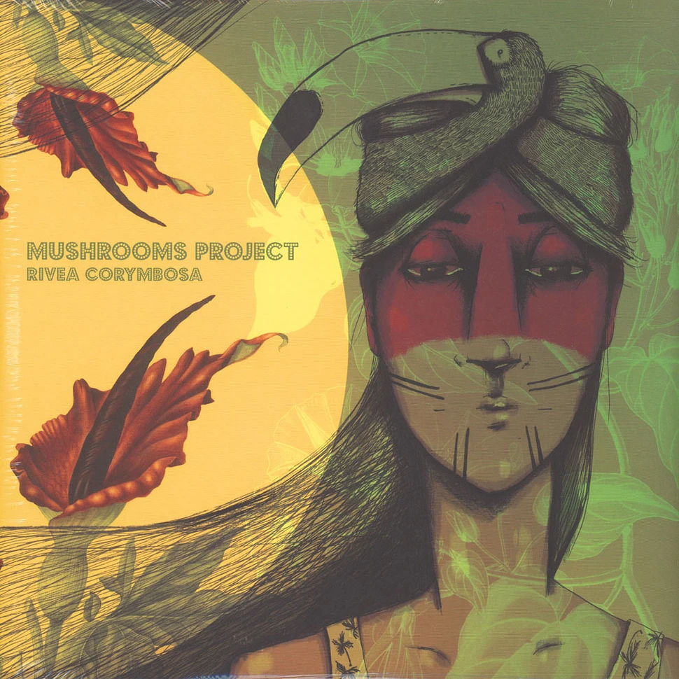Mushrooms Project - Rivea Corymbosa