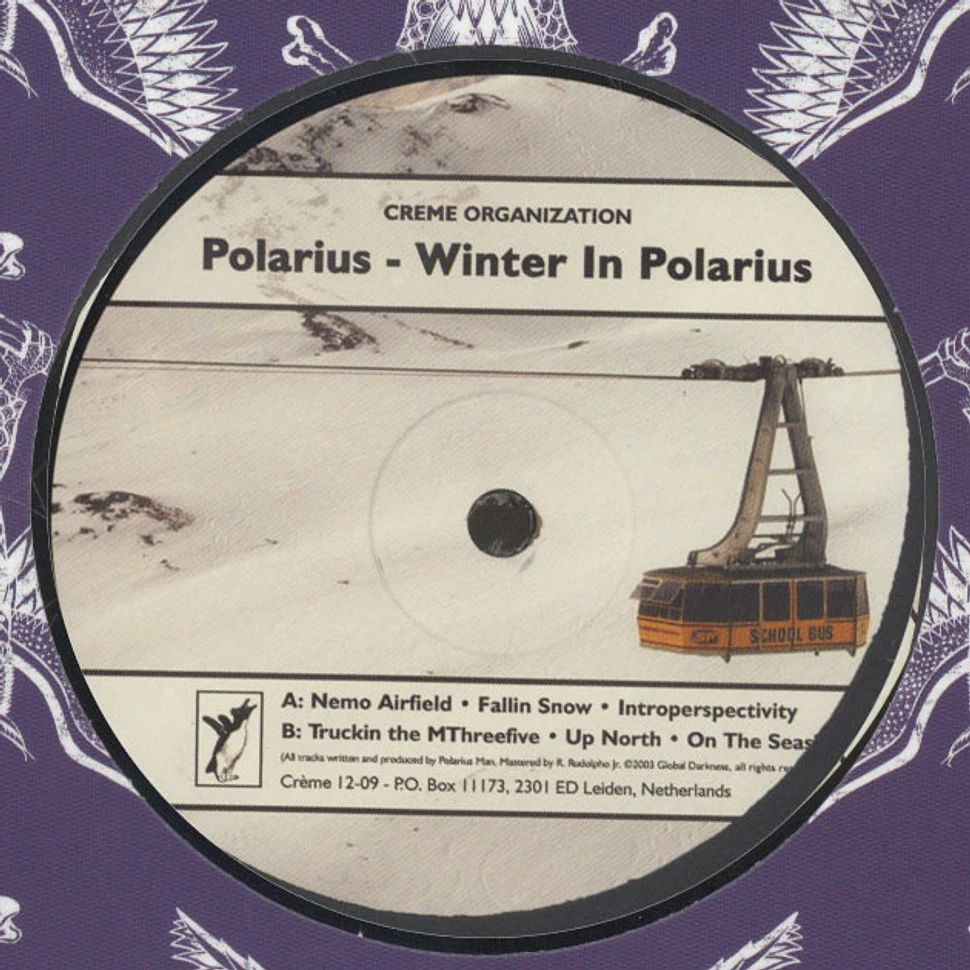 Polarius - Winter In Polarius