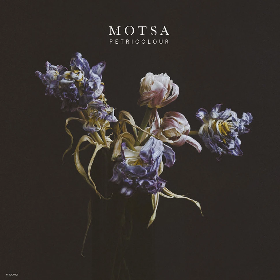 MOTSA - Petricolour
