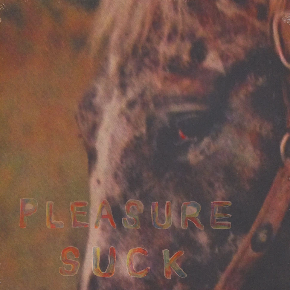 The Spirit Of The Beehive - Pleasure Suck