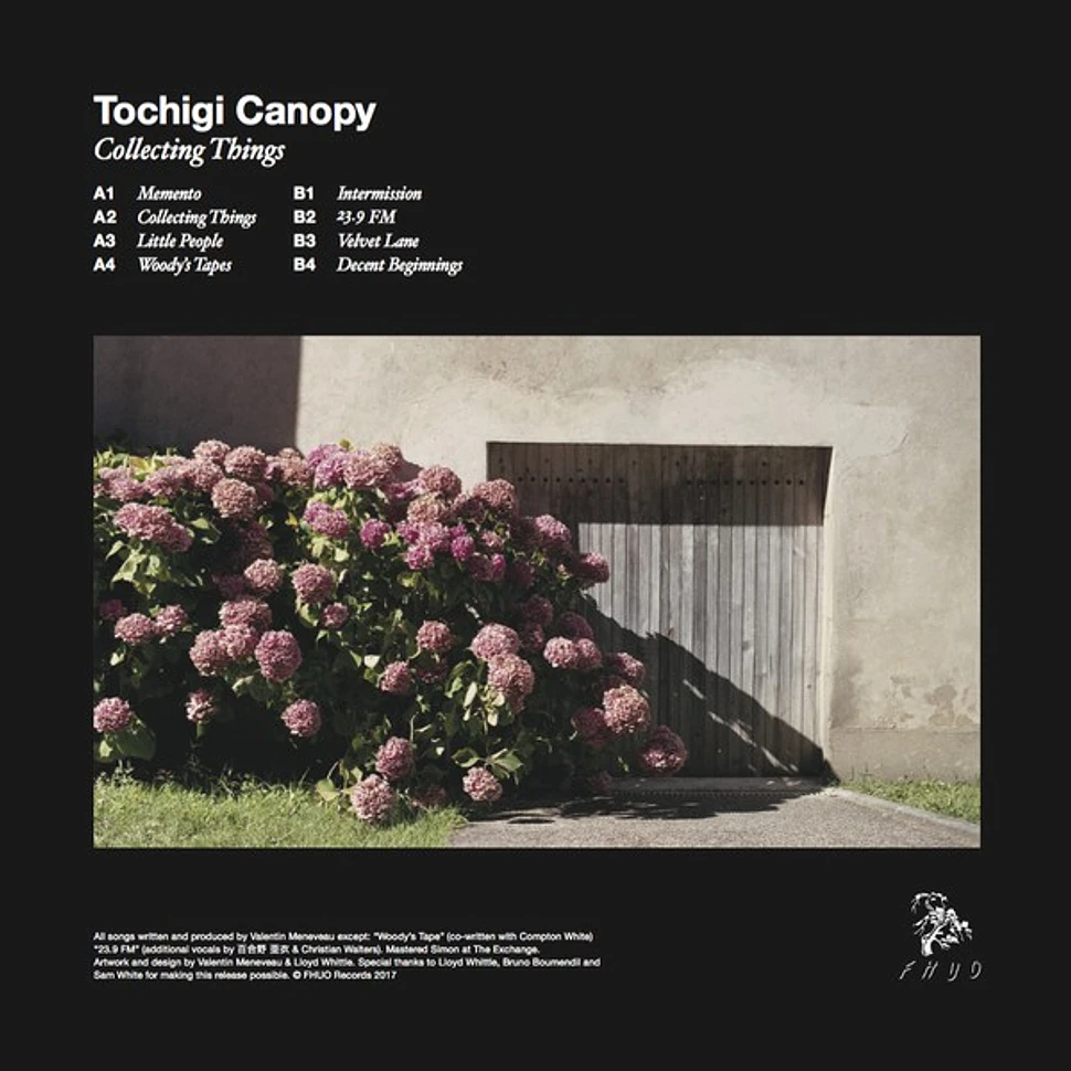 Tochigi Canopy - Collecting Things