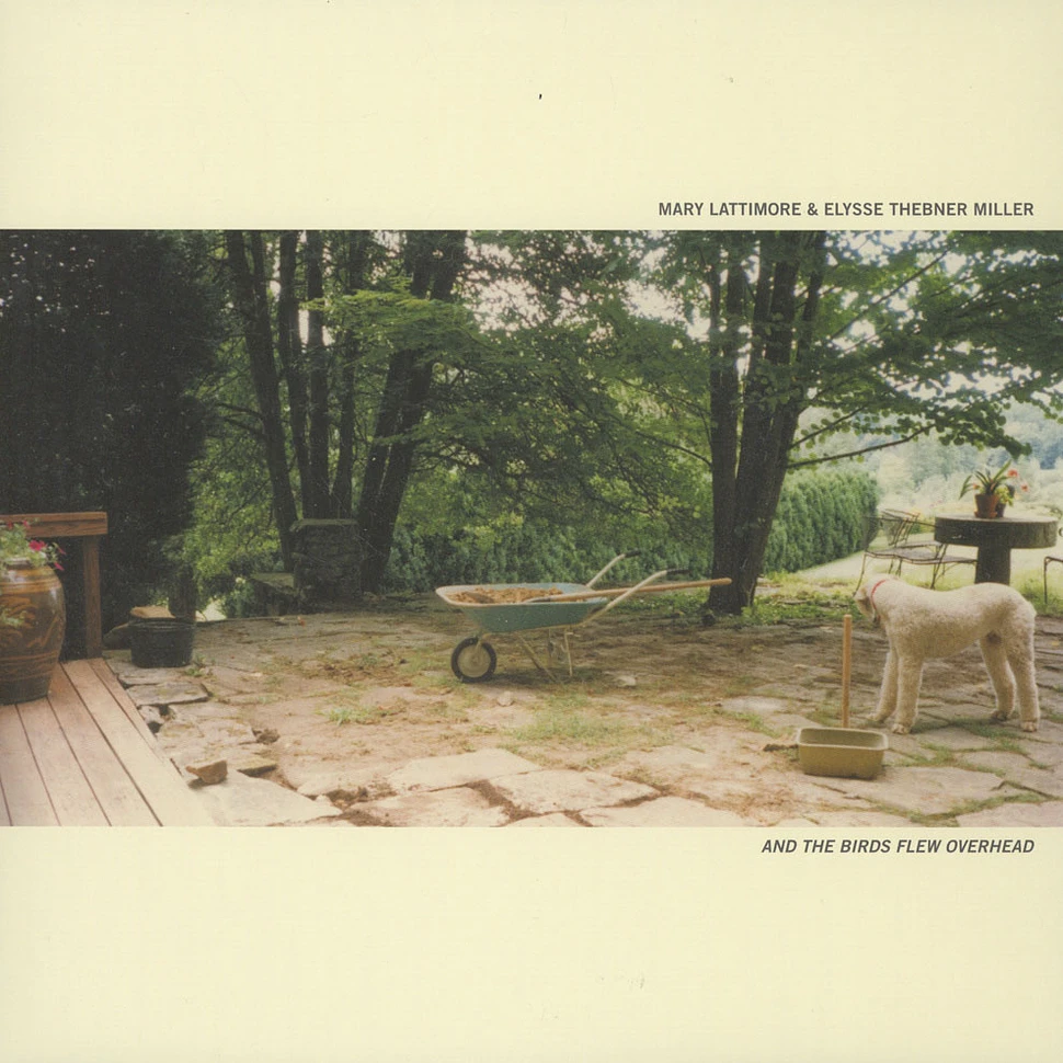 Mary Lattimore & Elysse Thebner Miller - And The Birds Flew Overhead