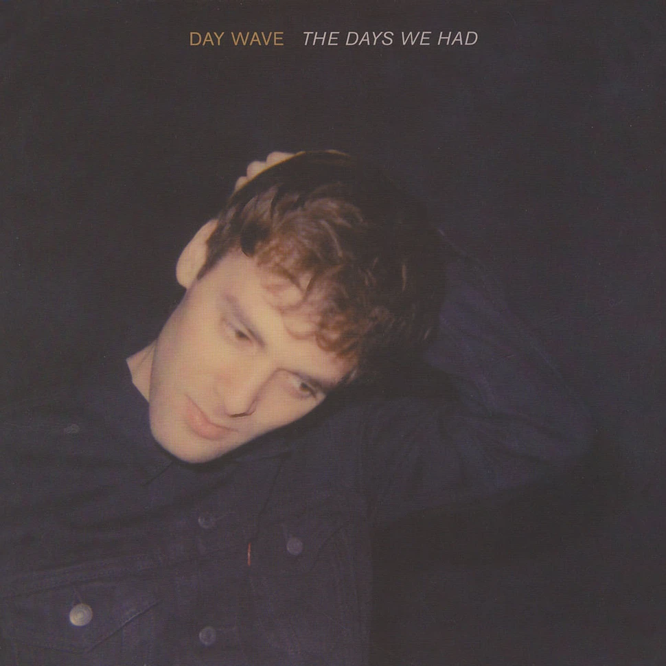 Day Wave - The Days We Had