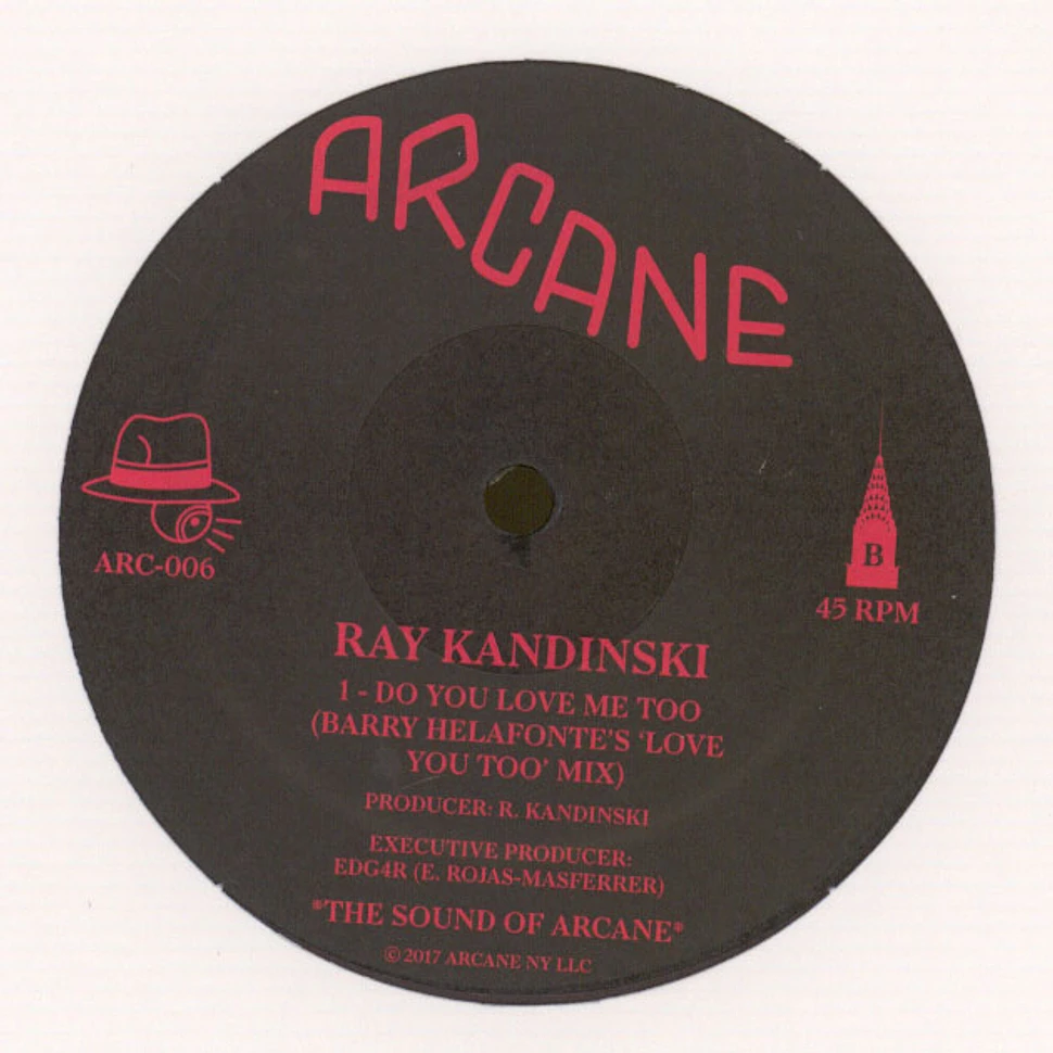Ray Kandinski - Faking Love
