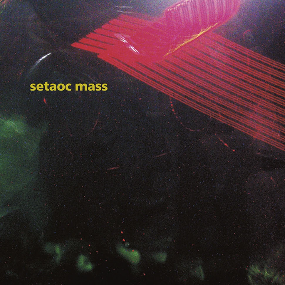 Setaoc Mass - Numb