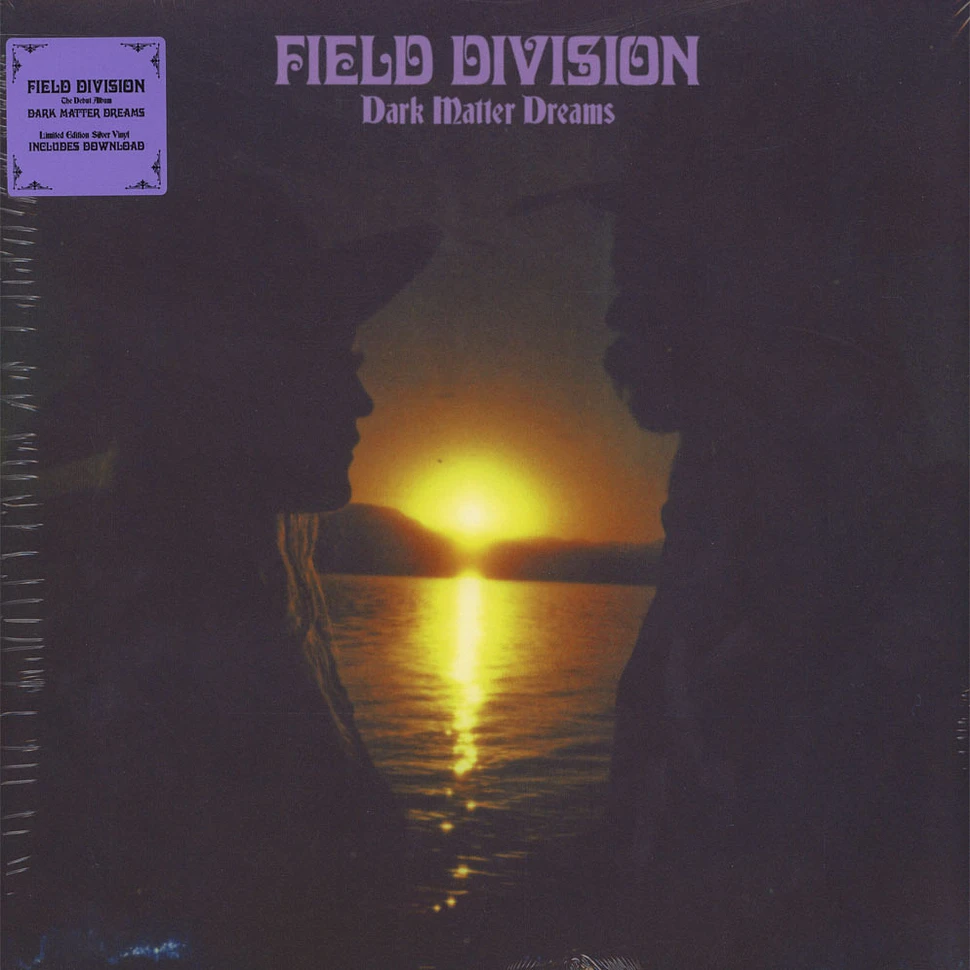 Field Division - Dark Matter Dreams