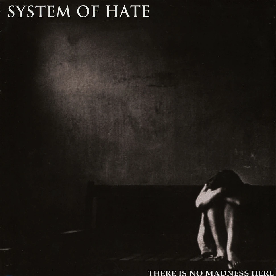 System Of Hate - There Is No Madness Here
