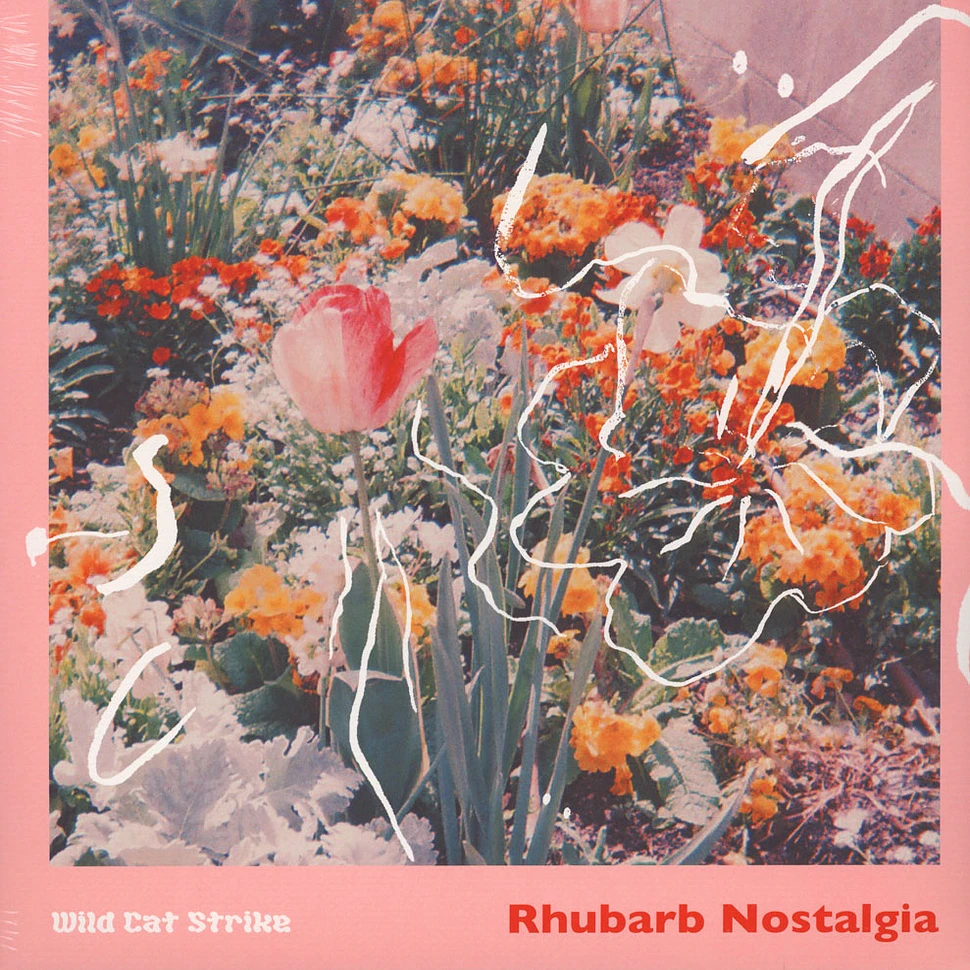 Wild Cat Strike - Rhubarb Nostalgia