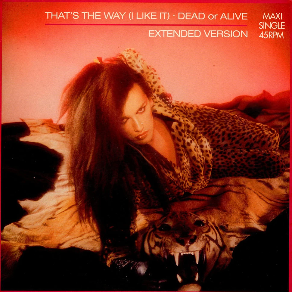Dead Or Alive - That's The Way (I Like It) (Extended Version)