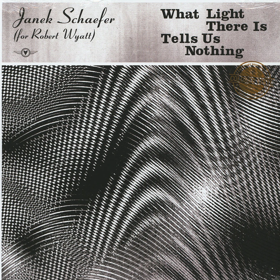 Janek Schaefer - What Light There Is Tells Us Nothing