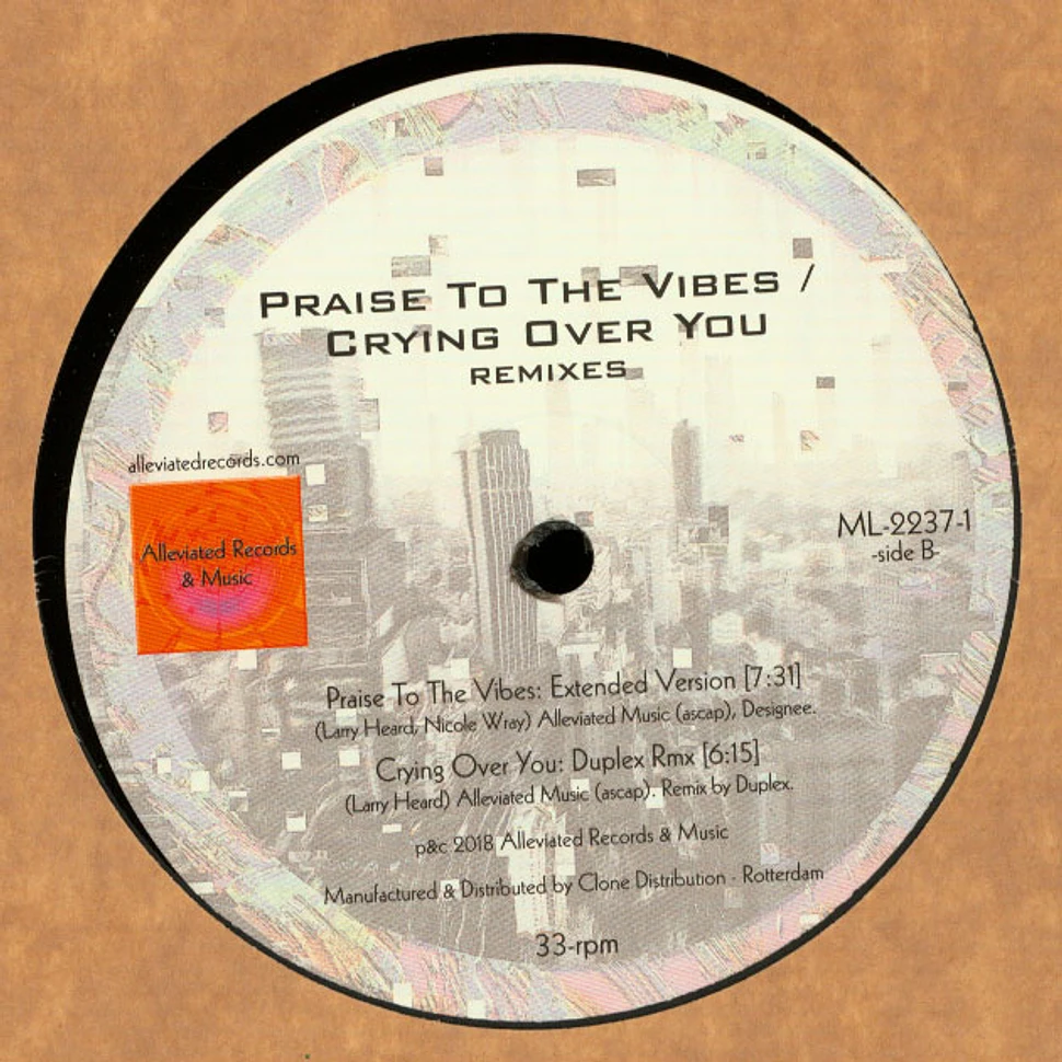 Mr. Fingers - Praise To The Vibes / Crying Over You Remixes