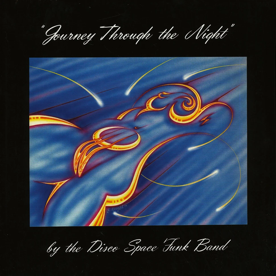 Disco Space Funk Band , The - Journey Through The Night