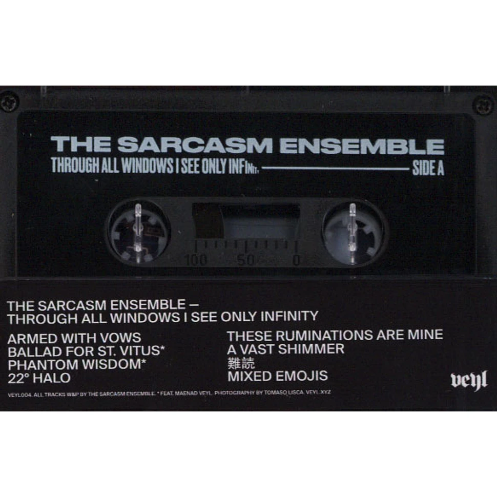 The Sarcasm Ensemble - Through All Windows I See Only Infinity