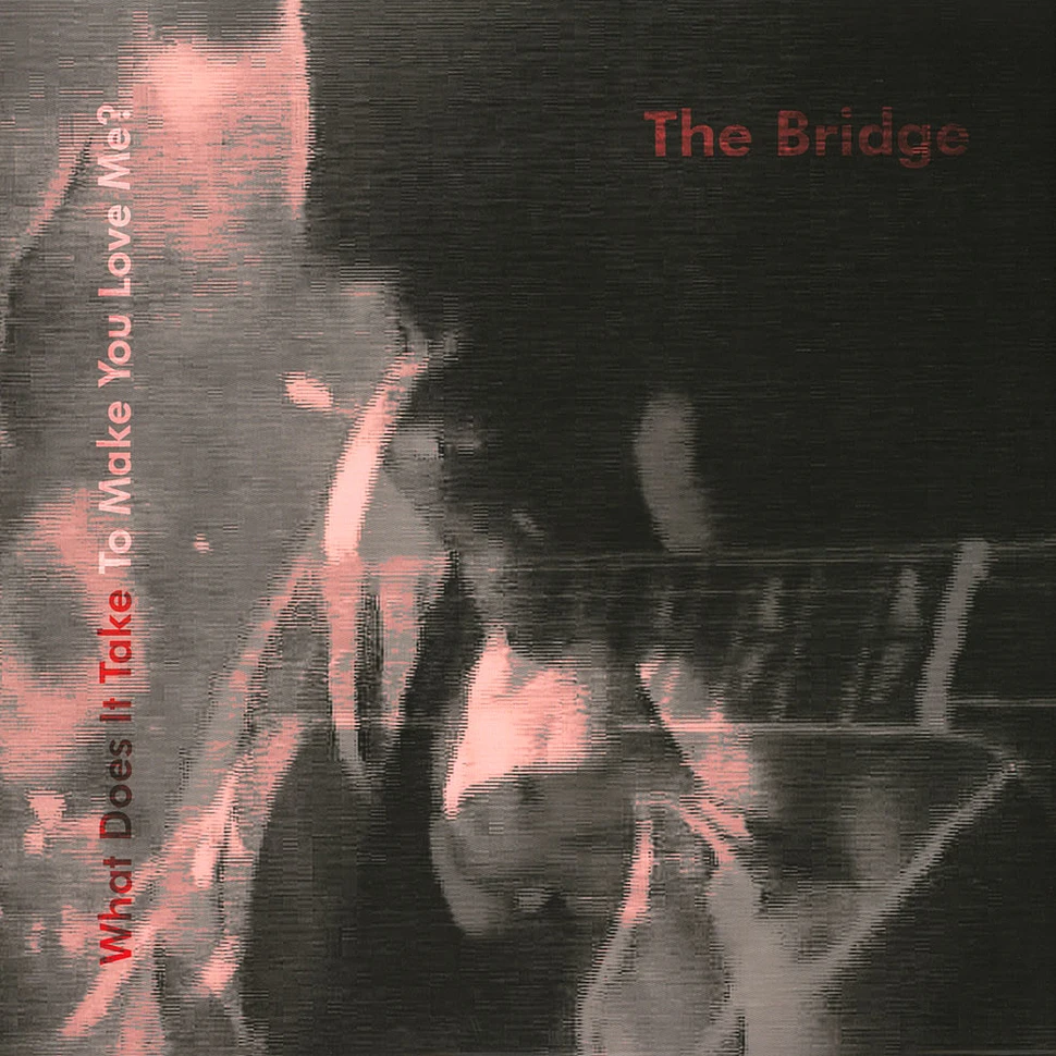 The Bridge - What Does It Take To Make You Love Me