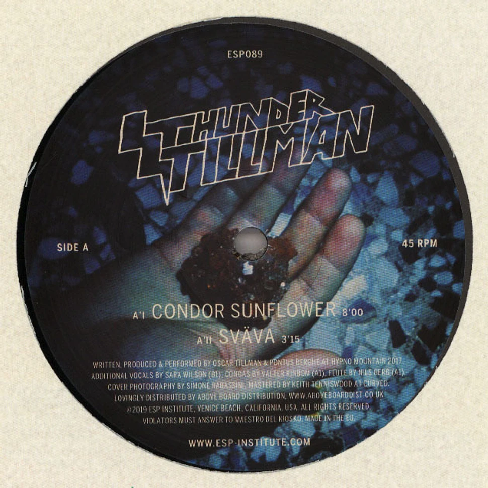 Thunder Tillman - Condor Sunflower