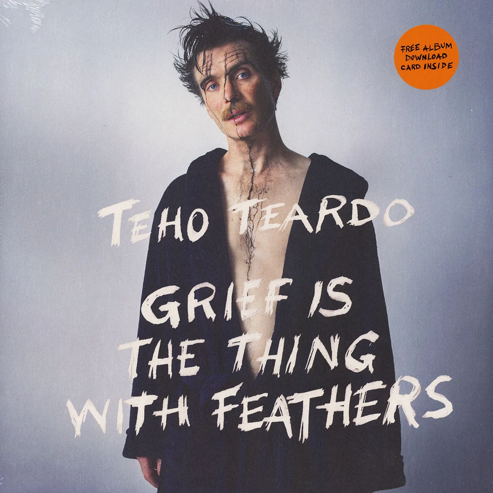 Teardo Teho - Grief Is The Thing With Feathers
