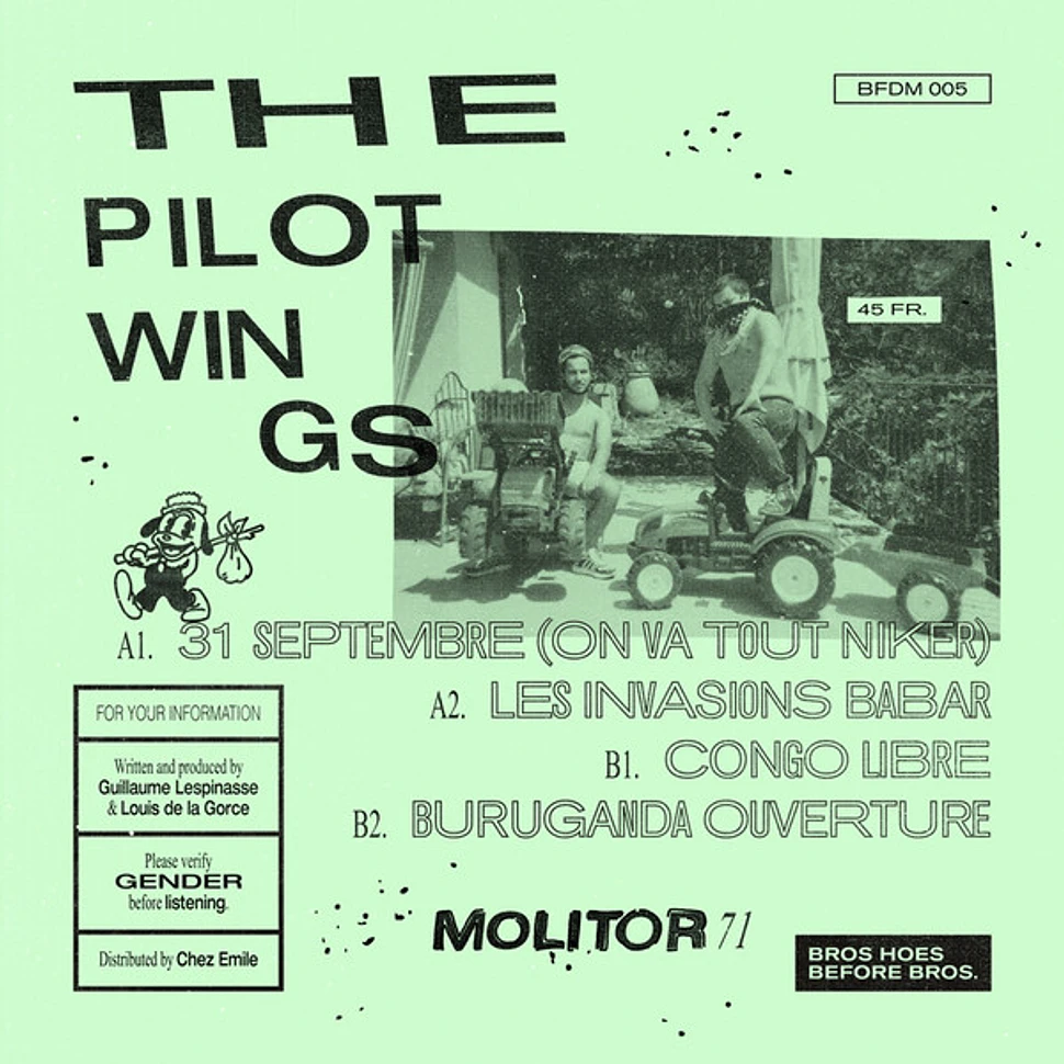 The Pilotwings - Molitor 71