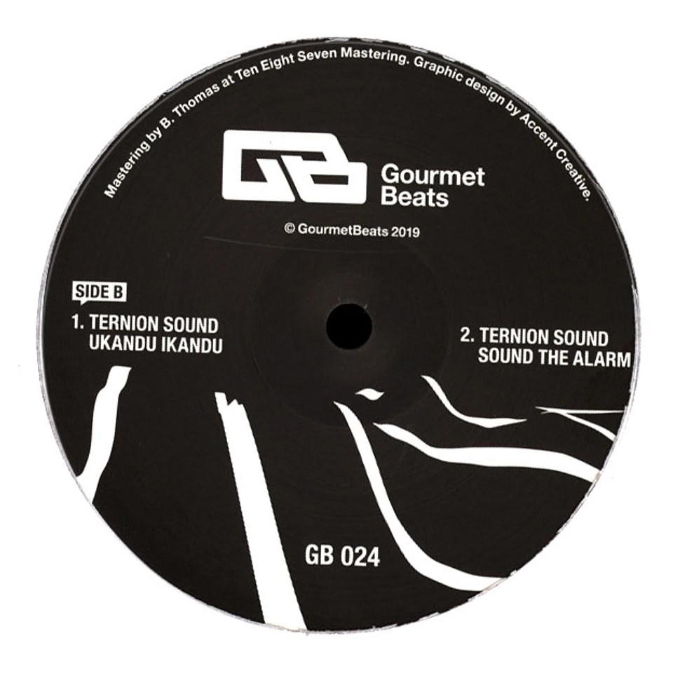 Ternion Sound - Sound The Alarm