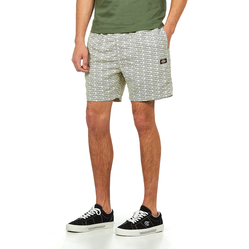 Dickies - Cave Point Short