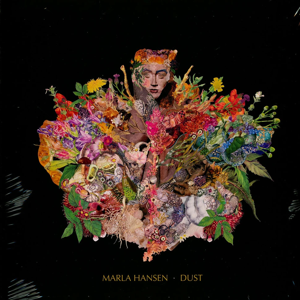 Marla Hansen - Dust