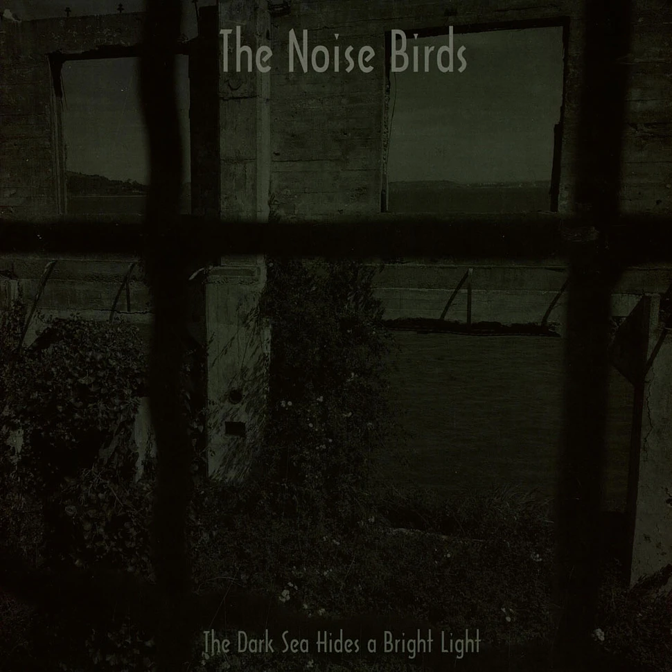 The Noise Birds - The Dark Sea Hides A Bright Light