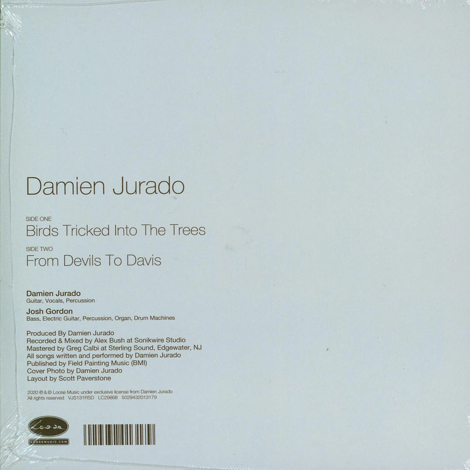 Damien Jurado - Birds Tricked Into The Trees Record Store Day 2020 Edition