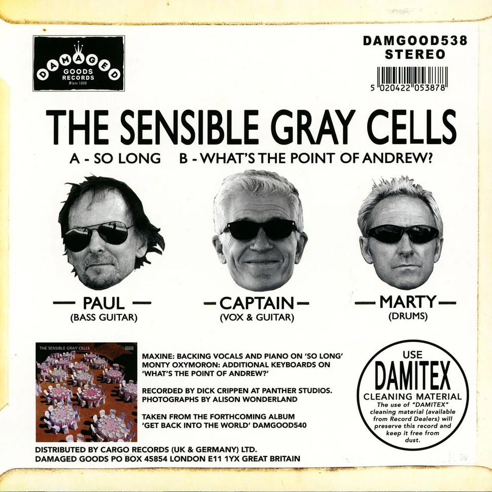 The Sensible Gray Cells - So Long